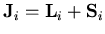 ${\bf J}_i={\bf L}_i+{\bf S}_i$