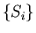 $\{S_i\}$