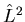 $\hat{L}^{2}$