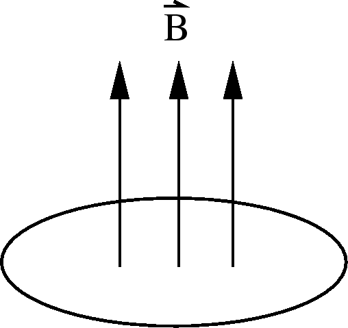 \epsfbox{loop_Bfield.eps}